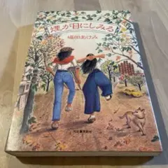 堀田あけみ　煙が目にしみる　リサイクル本　プロフ必読