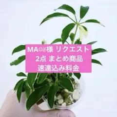 MA☺︎✌︎様 リクエスト 2点 まとめ商品