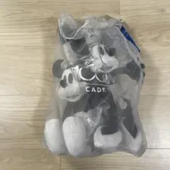 ディズニー100周年 蒸気船ウィリー ミッキー＆ミニー ぬいぐるみ