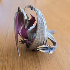 CAPCOM amiibo メルゼナ
