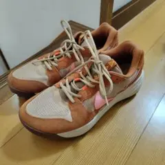 ACG Lowcate US12のサムネイル