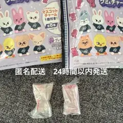 Stray Kids skzoo グミ チャーム　フォクシニー　トゥエッキ