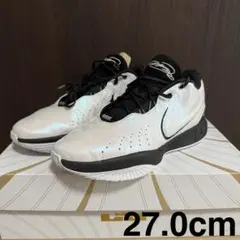 NIKE レブロン21 Conchiolion 27.0cm バッシュ