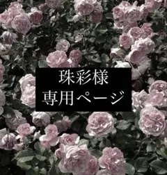 珠彩様専用ページ