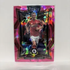 激レア！PANINI HONDA 本田圭佑 インサートカード ゴールドパラレル 激レア！PANINI HONDA 本田圭佑 インサートカード ゴールドパラレル