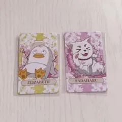 銀魂 はなびより エリザベス 定春 特典カード