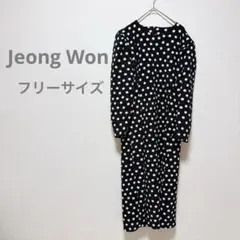 美品✨ Jeong Won ドット柄 長袖ワンピース ネイビー　ワンピース　水玉