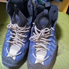 2025年最新】nike ロッドマンの人気アイテム - メルカリ