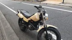 tw200 2jl 実働 カスタム多数のサムネイル