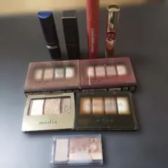 アイシャドウパレットその他９点セット ブラウン系