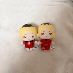 2026年最新】にとたん 研磨 ぬいぐるみの人気アイテム - メルカリ