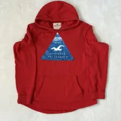 ホリスター パーカー