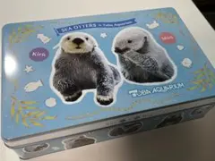 鳥羽水族館⭐️ラッコ⭐️キラ✖️メイ⭐️キーホルダー⭐️４種８個セット 新品】鳥羽水族館⭐︎ラッコ⭐︎キラ⭐︎メイ⭐︎パイ＆クッキーセット