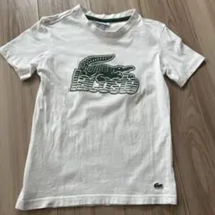 LACOSTE ロゴ Tシャツ 120のサムネイル