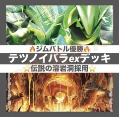 ポケモンカード デッキ テツノイバラex ヒーローマント [05248] - メルカリ