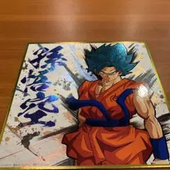 一番くじ ドラゴンボールRisingFighters H賞 色紙