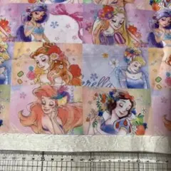 ディズニー　プリンセス　眠り目　生地　ハギレ　ワッペン作りに　パステル