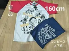 新品！ワンピース 160cm 上下組