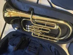 Item thumbnail for item 969c2fc6-956a-451e-a4f0-909de001c06a