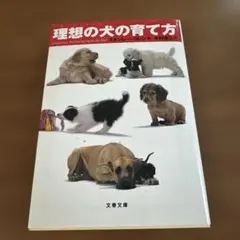 Item thumbnail for item ad26c67d-34d9-4d14-8057-f51486d5b4d8