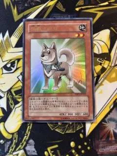 遊戯王 柴戦士タロ YAP1-JP009 ウルトラレア 高橋和希サイン入り 2枚