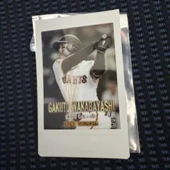 若林楽人 記念グッズ