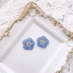 045 ネモフィラ ピアス/イヤリング