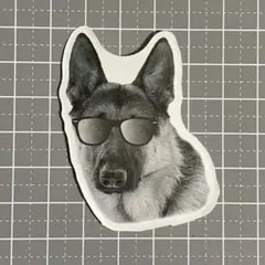 【KKK-51】防水ステッカー 犬 dog 動物 ジャーマンシェパード アメリカ