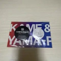 KAME & YAMA-P グッズ 2020年製 SI 亀と山P 缶バッジ