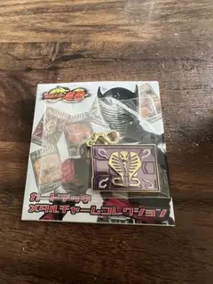 仮面ライダー龍騎 メタルチャーム 王蛇