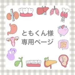 ともくん様専用ページ