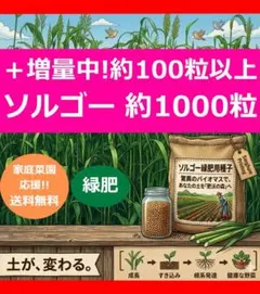 タケ様 リクエスト 2点 まとめ商品