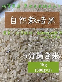 【特別価格】自然栽培米 五分搗き米 1kg 古代米入りヒノヒカリのサムネイル