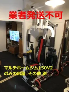 2026年最新】アイロテック マルチホームジムの人気アイテム - メルカリ