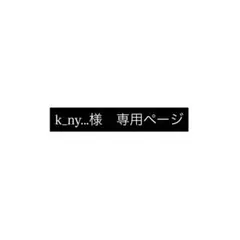 プレインシート　専用