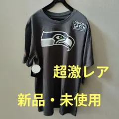 超激レア！ ナイキ シアトル・シーホークス NFLクリティカルキャッチTシャツ