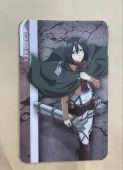 2026年最新】カラ鉄 ミカサの人気アイテム - メルカリ