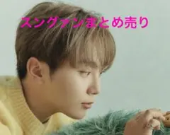 SEVENTEEN スングァンまとめ売り SEUNGKWAN