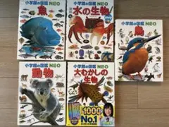 小学館の図鑑NEO 5冊セット 昆虫 魚 動物 恐竜 危険生物 新版 DVD 