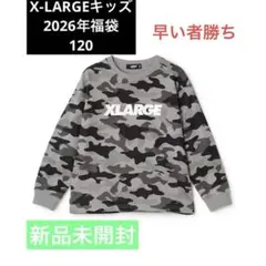 Item thumbnail for item 5dc2a5c0-2e51-4337-86d6-f80c8e63980f