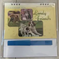 Item thumbnail for item ecb0e53d-c169-4902-a8f9-093198b6eafd