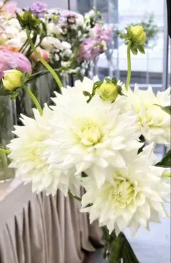 桜子様 リクエスト 3点 まとめ商品