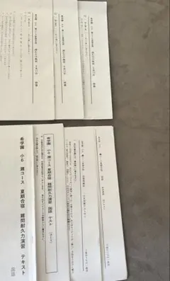 洛南小 しょうがく社 夏期特訓 一目瞭然 動画トレ2025年7月開催3回分 洛南小 しょうがく社 夏期特訓 一目瞭然 動画トレ2025年7月開催3回分