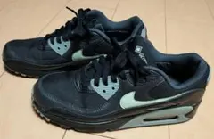 Nike Air Max 90 GORE-TEX ブラック