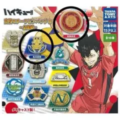 ハイキュー 校章モチーフピンバッジ 音駒 生川 2個セット