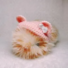 hansmama様 リクエスト 2点 まとめ商品