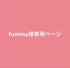 fumina様専用ページ