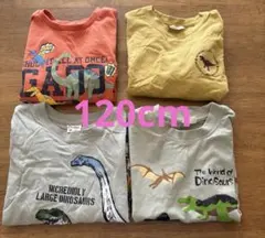 恐竜デザイン長袖3枚　Tシャツ 1枚　120cm ４枚セット