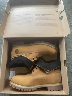 Item thumbnail for item 6d1cb6e3-14eb-4d6c-81fc-db5e1aaf2dde