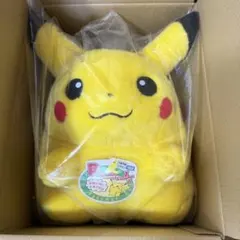 【最安値】ポケットモンスター ポケモン30周年記念 おかえり!ピカチュウ1/1